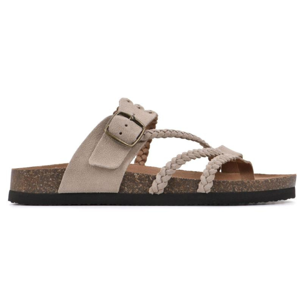 https://cdn.shopify.com/s/files/1/0947/6676/0309/files/3_16b7d943-4c81-4d7d-8b11-04f2533686ba.png?v=1776449989