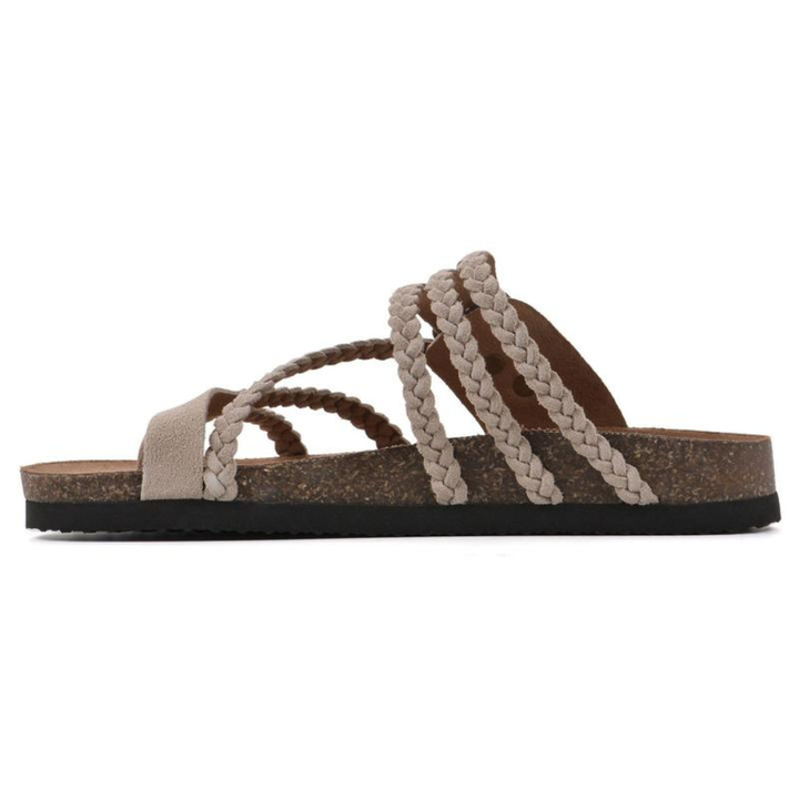 https://cdn.shopify.com/s/files/1/0947/6676/0309/files/5_44c59bef-7ed9-4f19-b0cc-36658156cb8c.png?v=1776449989
