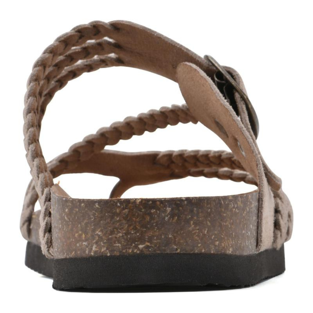 https://cdn.shopify.com/s/files/1/0947/6676/0309/files/6_41337509-8ab6-4bdf-b623-dbafd751ab4c.png?v=1776449989