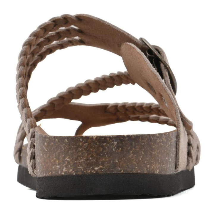 https://cdn.shopify.com/s/files/1/0947/6676/0309/files/6_41337509-8ab6-4bdf-b623-dbafd751ab4c.png?v=1776449989
